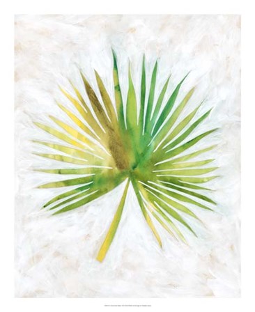 Ocean Side Palms  II by Chariklia Zarris art print