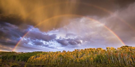 Double Rainbow by Dan Ballard art print