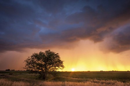 Stormy Sunset by Dan Ballard art print