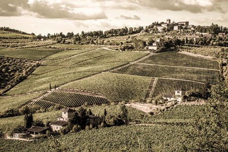 Tuscany Vineyard by Dan Ballard art print