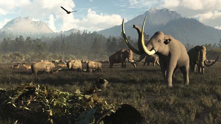 Columbian Mammoths And Bison Roam The Ancient Plains Of North America by Arthur Dorety/Stocktrek Images art print