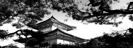 Low angle view of trees in front of a temple, Kinkaku-ji Temple, Kyoto City, Japan by Panoramic Images art print