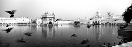 Reflection of Golden Temple, Amritsar, Punjab, India (black &amp; white) by Panoramic Images art print