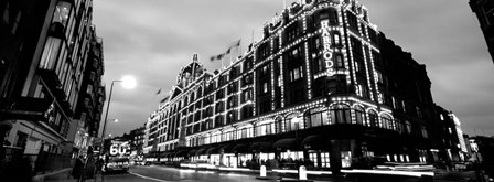 Low angle view of buildings lit up at night, Harrods, London, England BW by Panoramic Images art print