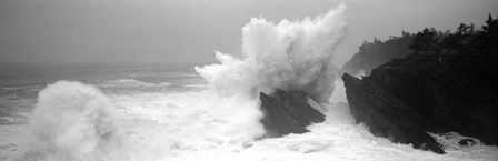 Waves breaking on the coast, Shore Acres State Park, Oregon BW by Panoramic Images art print