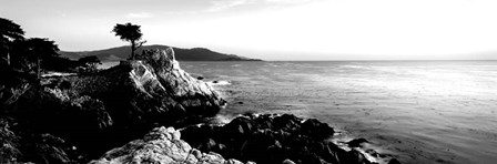 Lone Cypress Tree, 17-Mile Drive, Carmel, California by Panoramic Images art print