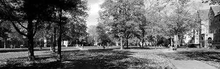 Group of people at University of Notre Dame, South Bend, Indiana by Panoramic Images art print