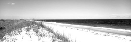 Cape Hatteras National Park, Outer Banks, North Carolina BW by Panoramic Images art print