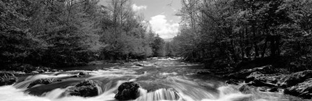 Little Pigeon River, Great Smoky Mountains National Park, Tennessee by Panoramic Images art print