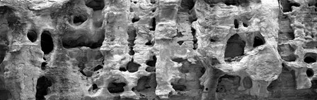 Close-up of a rock, Capitol Reef National Park, Utah by Panoramic Images art print