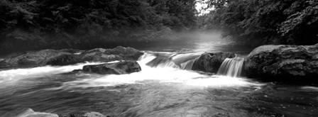 Little Pigeon River, Great Smoky Mountains National Park,North Carolina, Tennessee, by Panoramic Images art print
