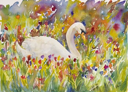 Colorful Swan by Sarah Davis art print
