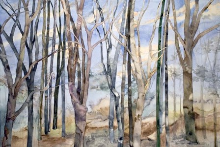 Through The Trees by Sharon Pitts art print