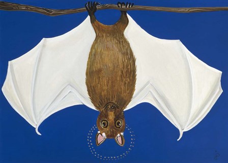 Bat by Jan Panico art print