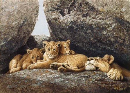 Lioness With Cubs by Harro Maass art print