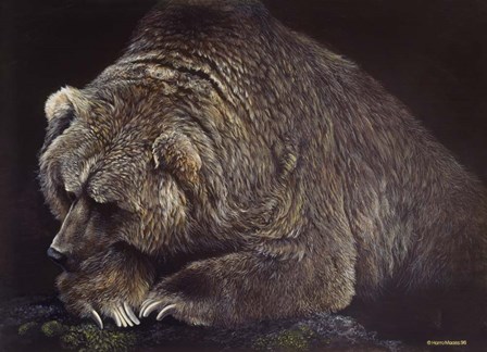 Bear by Harro Maass art print