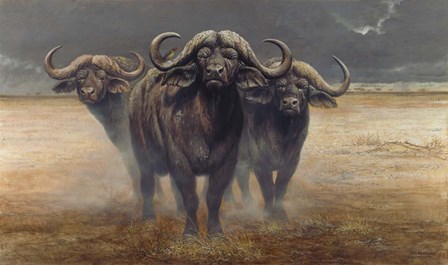 Cape Buffalos by Harro Maass art print