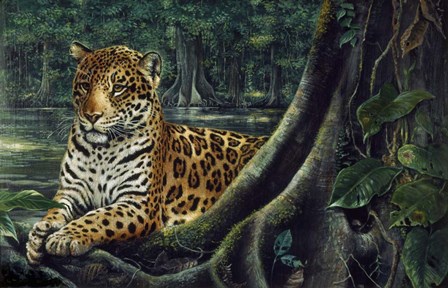 Jaguar By The River by Harro Maass art print