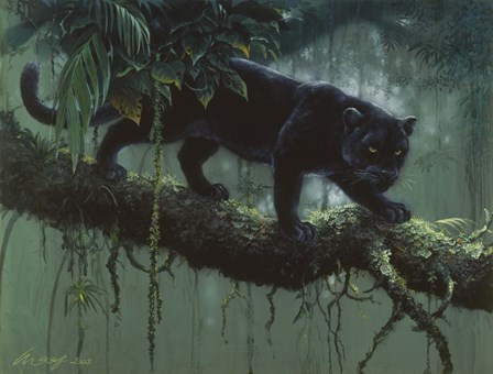 Black Jaguar by Harro Maass art print