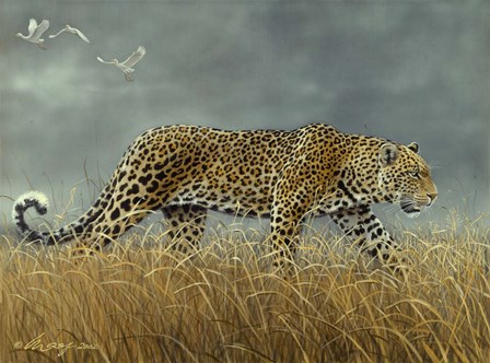Leopard 2 by Harro Maass art print
