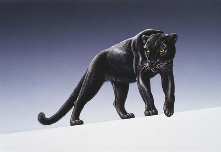 Black Panther by Harro Maass art print