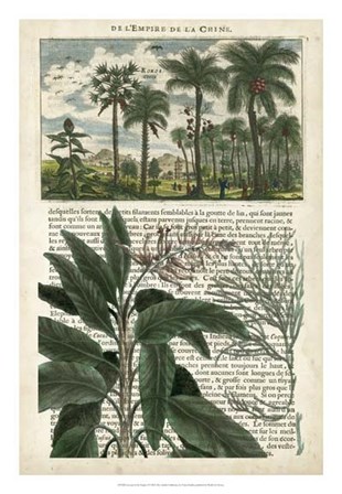 Journal of the Tropics I by Vision Studio art print