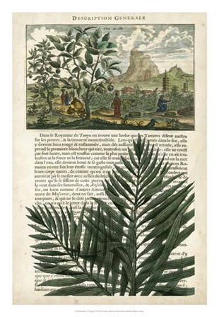 Journal of the Tropics II by Vision Studio art print