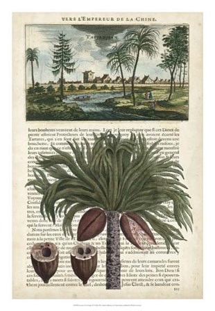 Journal of the Tropics IV by Vision Studio art print