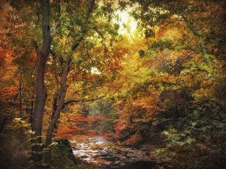 Autumn Stream by Jessica Jenney art print