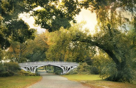 Gothic Bridge by Jessica Jenney art print