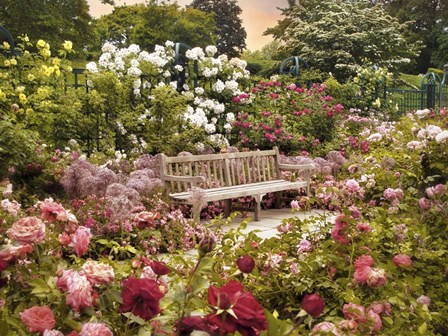The Rose Garden by Jessica Jenney art print