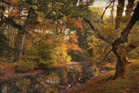 Autumn&#39;s Edge by Jessica Jenney art print