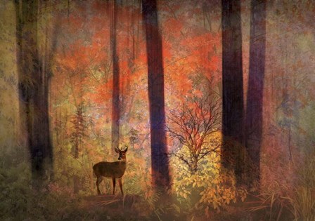 The Visitor by Jessica Jenney art print