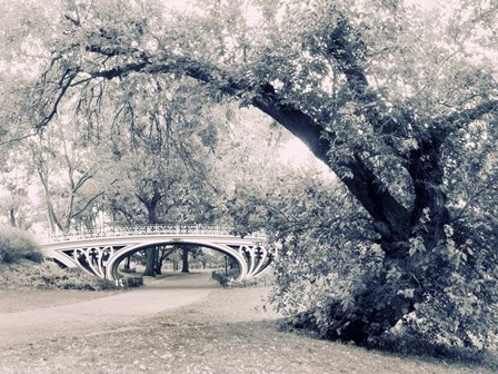 Central Park Gothic by Jessica Jenney art print