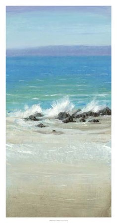 Salt Spray II by Timothy O&#39;Toole art print