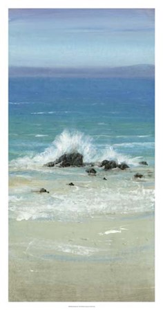 Salt Spray III by Timothy O&#39;Toole art print