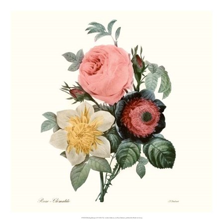 Blushing Bouquet II by Pierre-Joseph Redoute art print