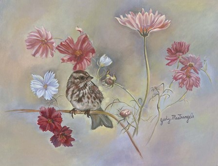 Sparrow In Cosmos Flowers by Judy Mastrangelo art print