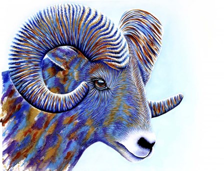 Ram by Michelle Faber art print