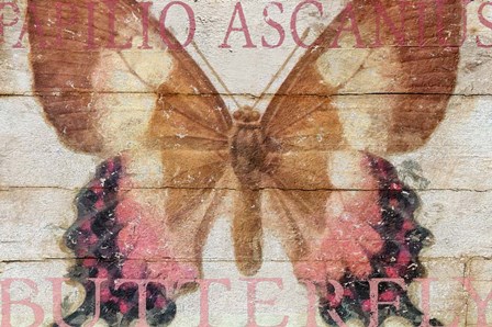 Butterfly Wood Series V by Cora Niele art print