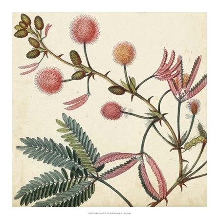 Garden Bounty IV by Vision Studio art print