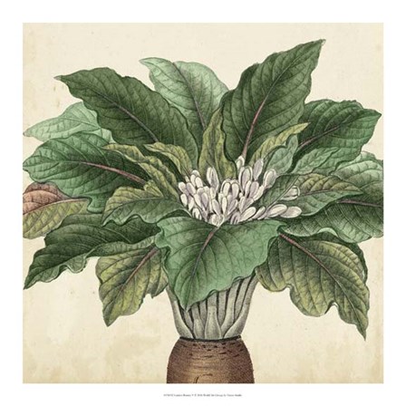 Garden Bounty V by Vision Studio art print