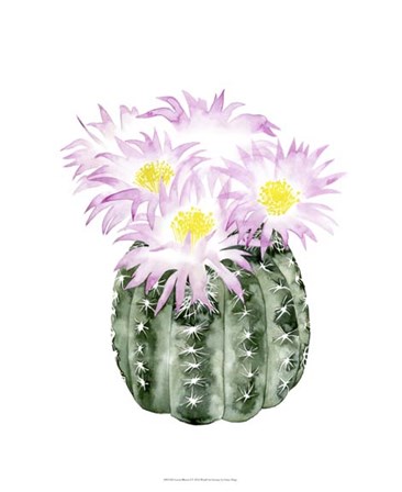 Cactus Bloom I by Grace Popp art print