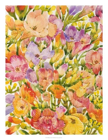 Wildflower Study I by Timothy O&#39;Toole art print