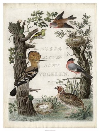 Woodpecker Sanctuary by Nozeman art print