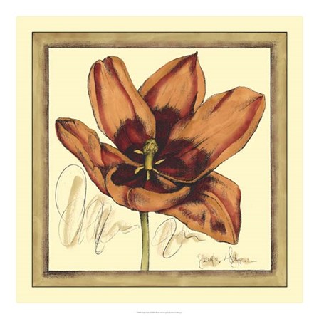 Tulip Study I by Jennifer Goldberger art print