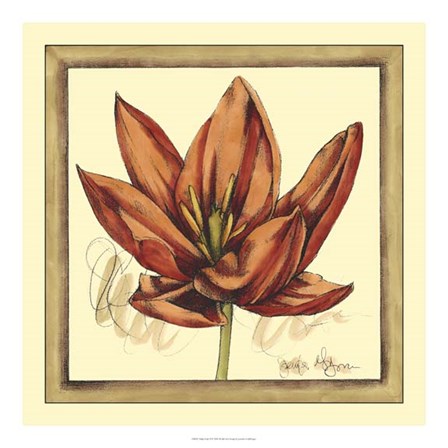 Tulip Study II by Jennifer Goldberger art print