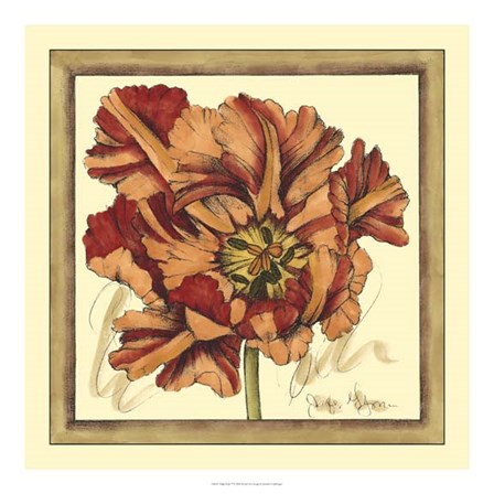 Tulip Study V by Jennifer Goldberger art print