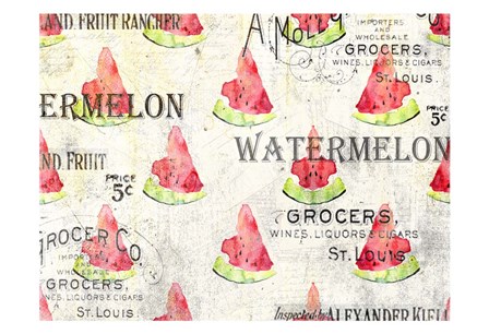 Watermelon Summer 2 by Kimberly Allen art print