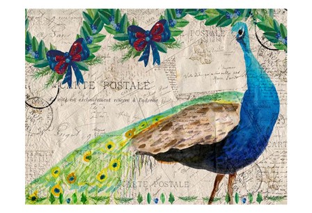 Christmas Postcard Peacock by Kimberly Allen art print